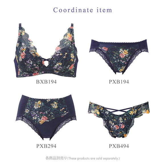 ワコール Wacoal 重力ケアブラ BXB194 PXB494 ショーツ Tバック M バックレース