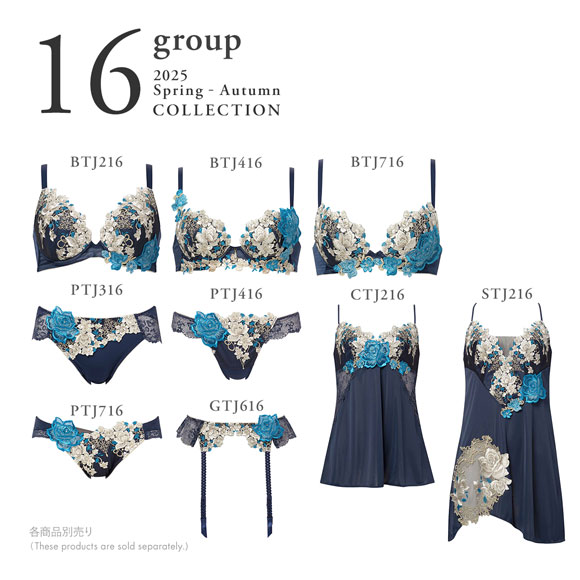 ワコール サルート 16グループ 16G スリップ ランジェリー ML Wacoal Salute STJ216 25SSシーズン