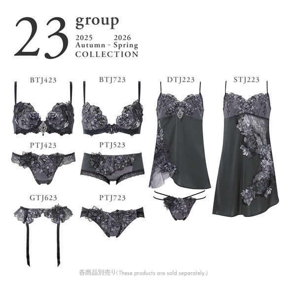 ワコール サルート 23グループ 23G スリップ ランジェリー LL スタンダードシルエット Wacoal Salute STJ223 25AWフェア