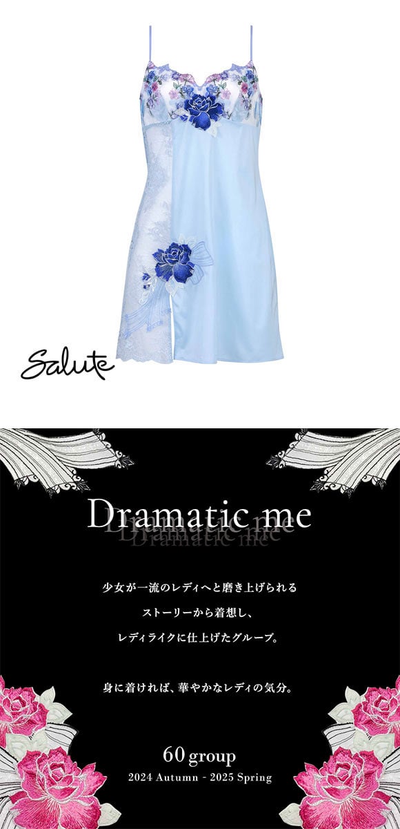 ワコール サルート 60グループ 60G スリップ ランジェリー ML Wacoal Salute STJ260 24AWシーズン