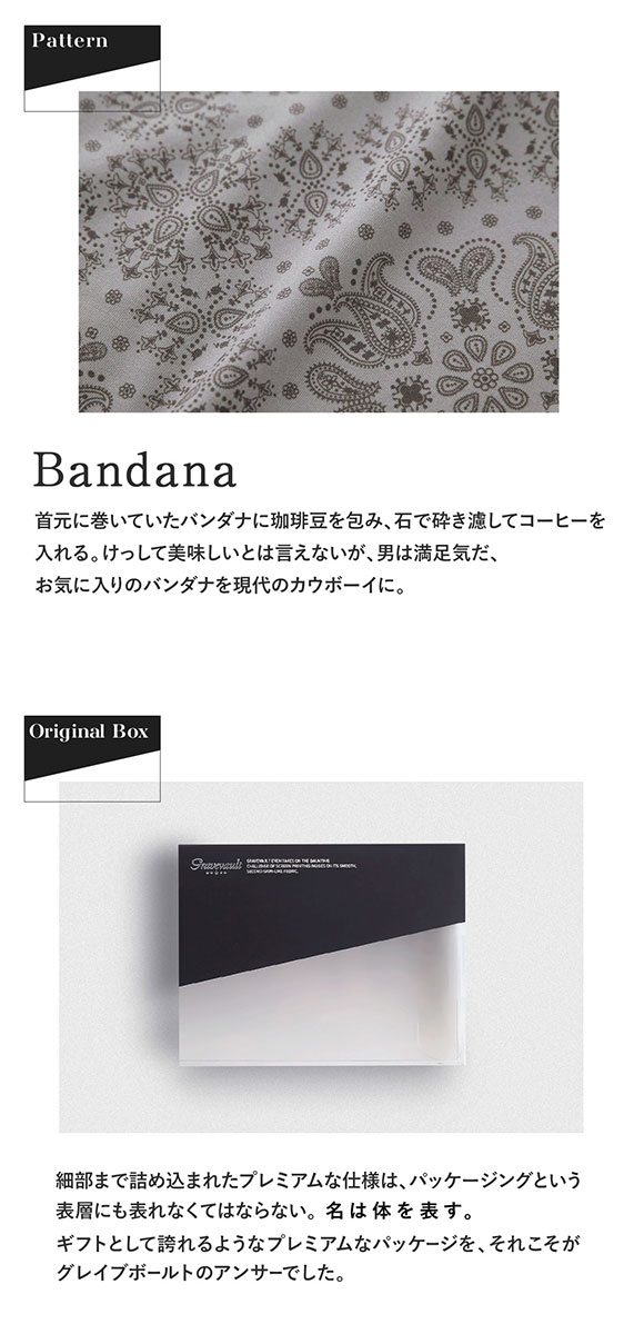グレイブボールト Bandana Tバック ビキニ ブリーフ ML メンズ 前閉じ 日本製 Gravevault 国産