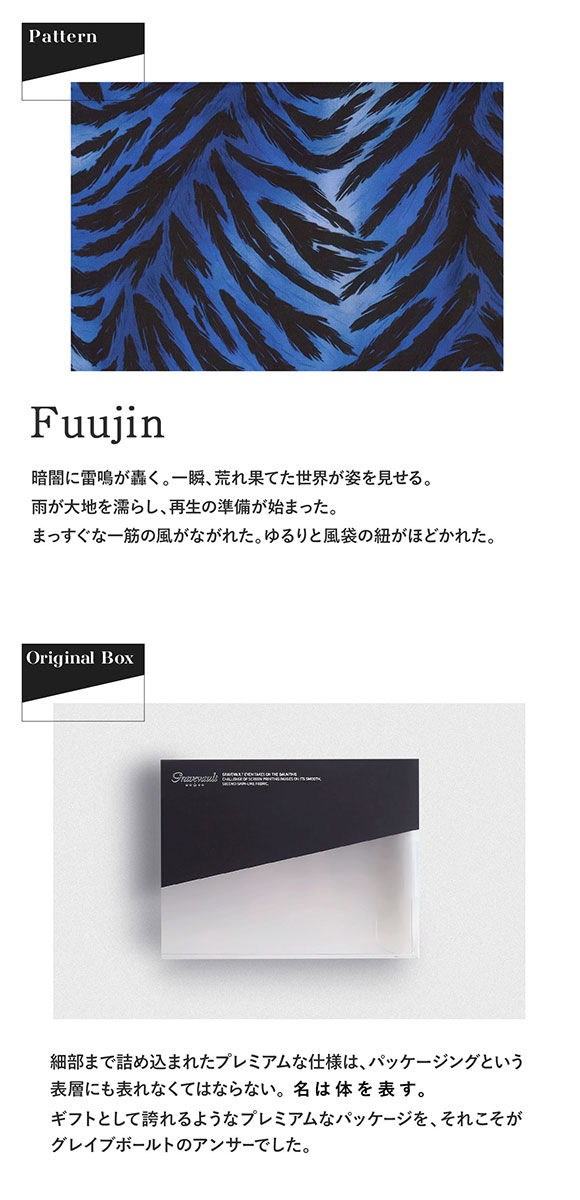 グレイブボールト Fuujin Tバック ビキニ メンズ Gravevault 日本製