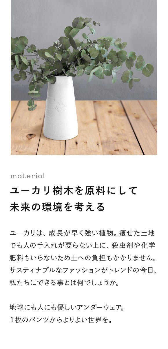 グレイブボールトGravevault × SHIROHATO 別注 naturale due ローライズ ボクサーパンツ メンズ S M L 天然由来