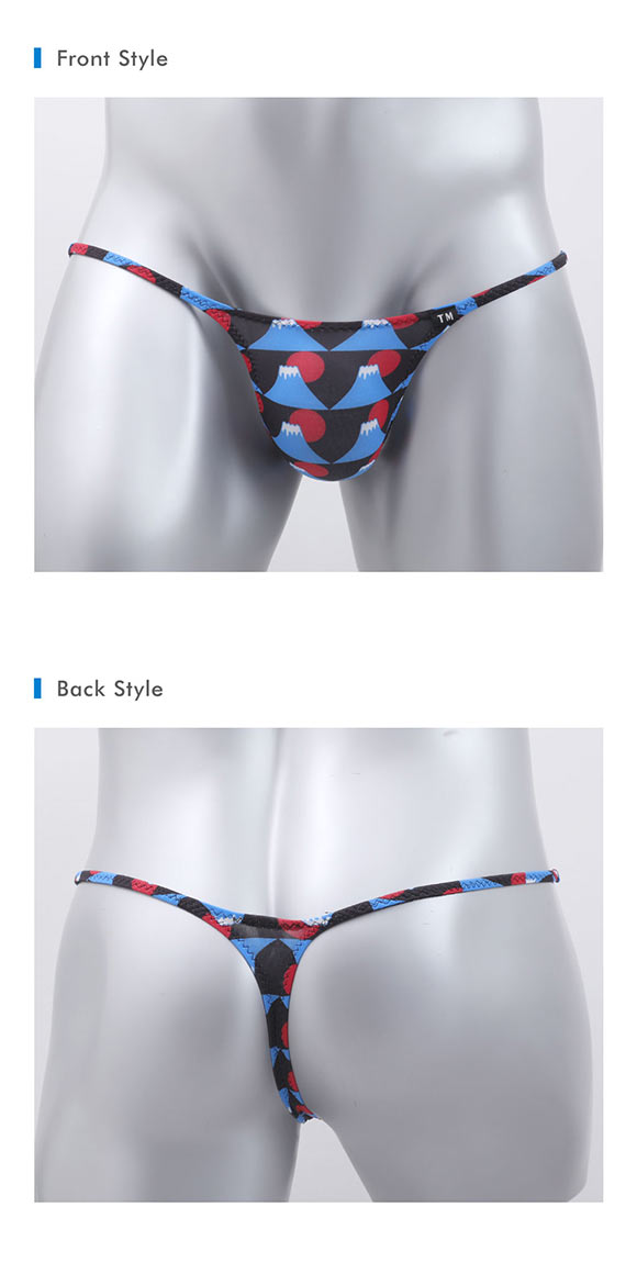 ティーエム コレクション N-3 National Flag ハギナシシャープ Tバック ビキニ メンズ TM collection