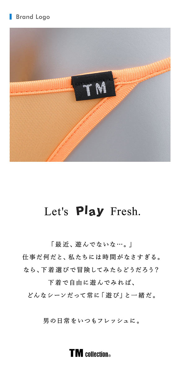 ティーエム コレクション STRIKESKIN パイピング フロントホール HB ハーフバック TM collection