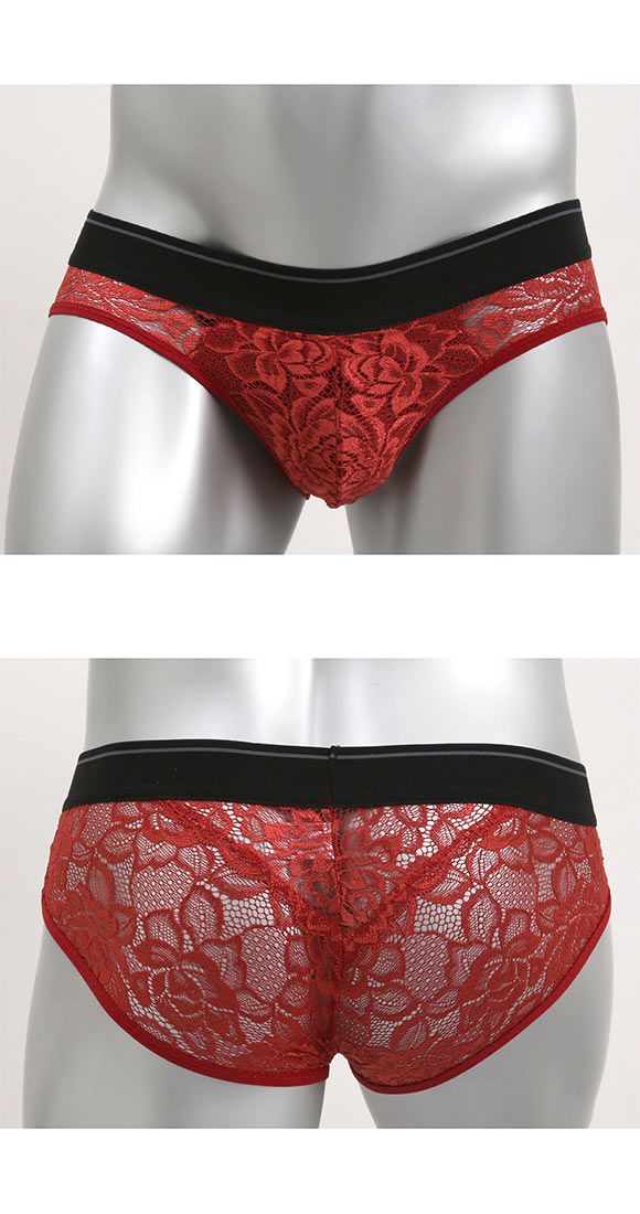 NEW SENSATION 総レース ビキニ ブリーフ フルバック M L LL メンズ パンツ アウトゴム アンダーウェア シースルー ショーツ 父の日