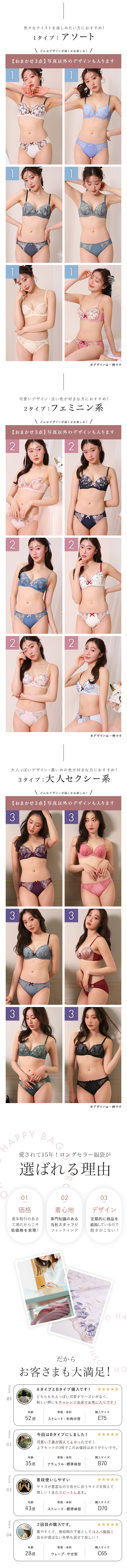 ブラジャー ショーツ 3点セット 福袋 選べる5タイプ おまかせ 刺繍 レース おしゃれ シンプル ABCDEF 大きいサイズ