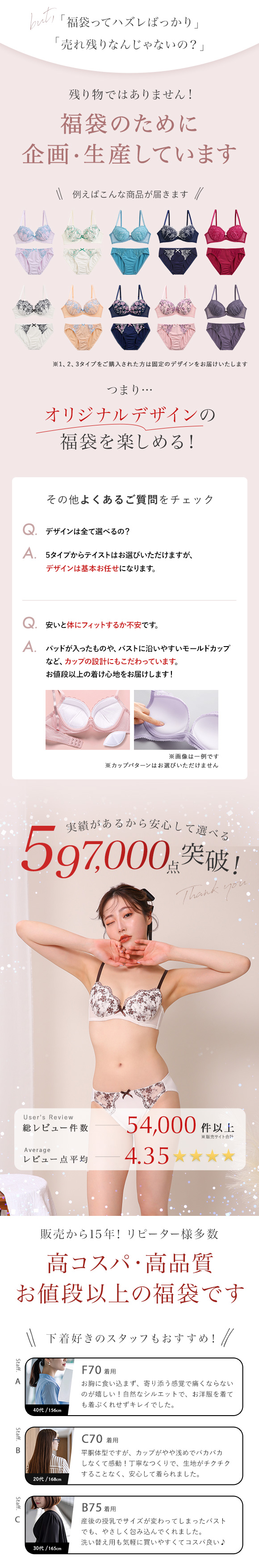 ブラジャー ショーツ 3点セット 福袋 選べる5タイプ おまかせ 刺繍 レース おしゃれ シンプル ABCDEF 大きいサイズ