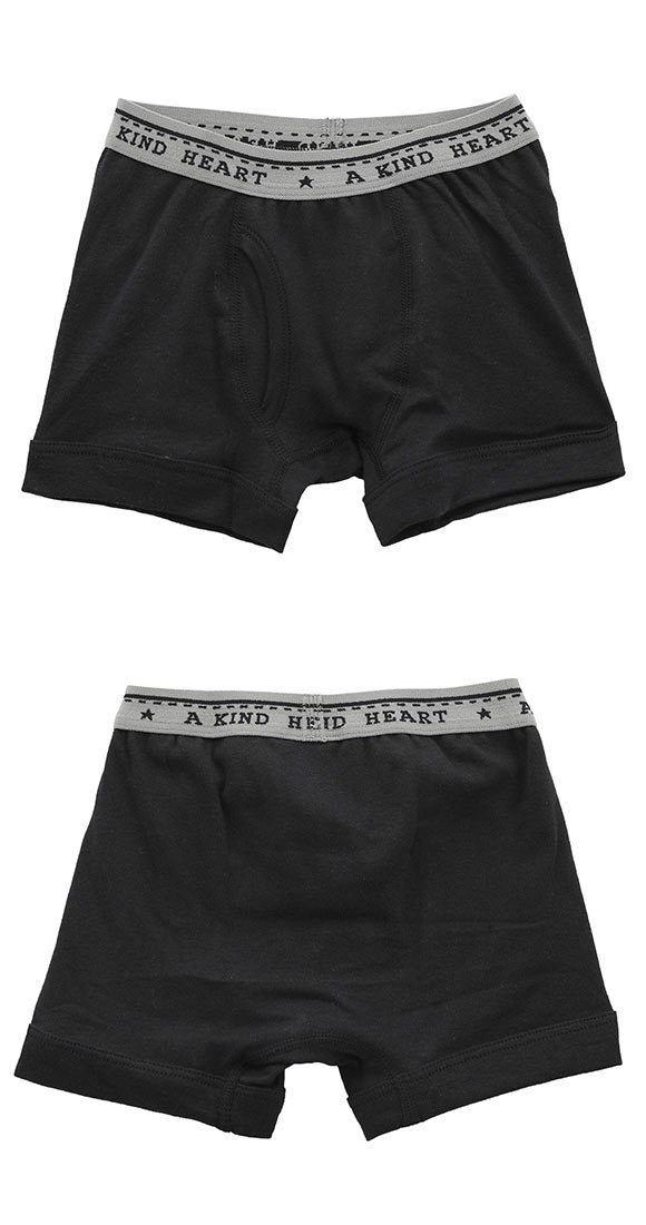 グンゼ GUNZE キッズ ジュニア 無地 ボクサーパンツ 2枚組 男児 子供肌着 綿100％ 100-160