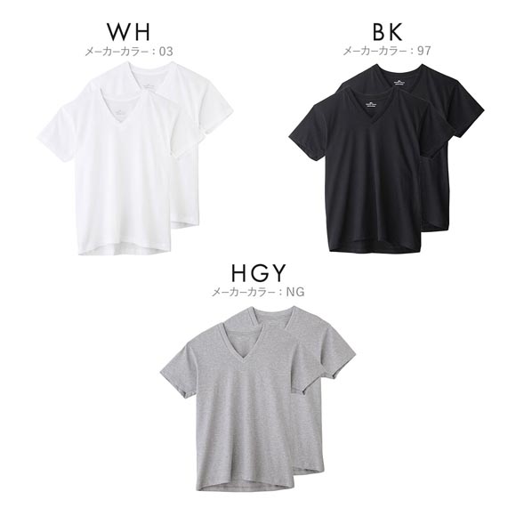 グンゼ GUNZE ボディワイルド BODY WILD  Vネック Tシャツ 2枚組 メンズ 半袖