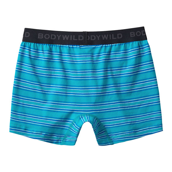 グンゼ GUNZE ボディワイルド BODY WILD ボクサーパンツ メンズ 綿混 ボーダー 前あき