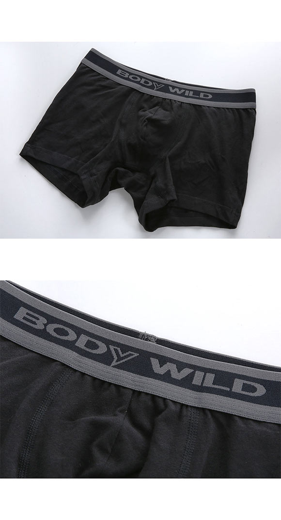 グンゼ GUNZE ボディワイルド BODY WILD ボクサーパンツ 3枚セット メンズ ベーシック
