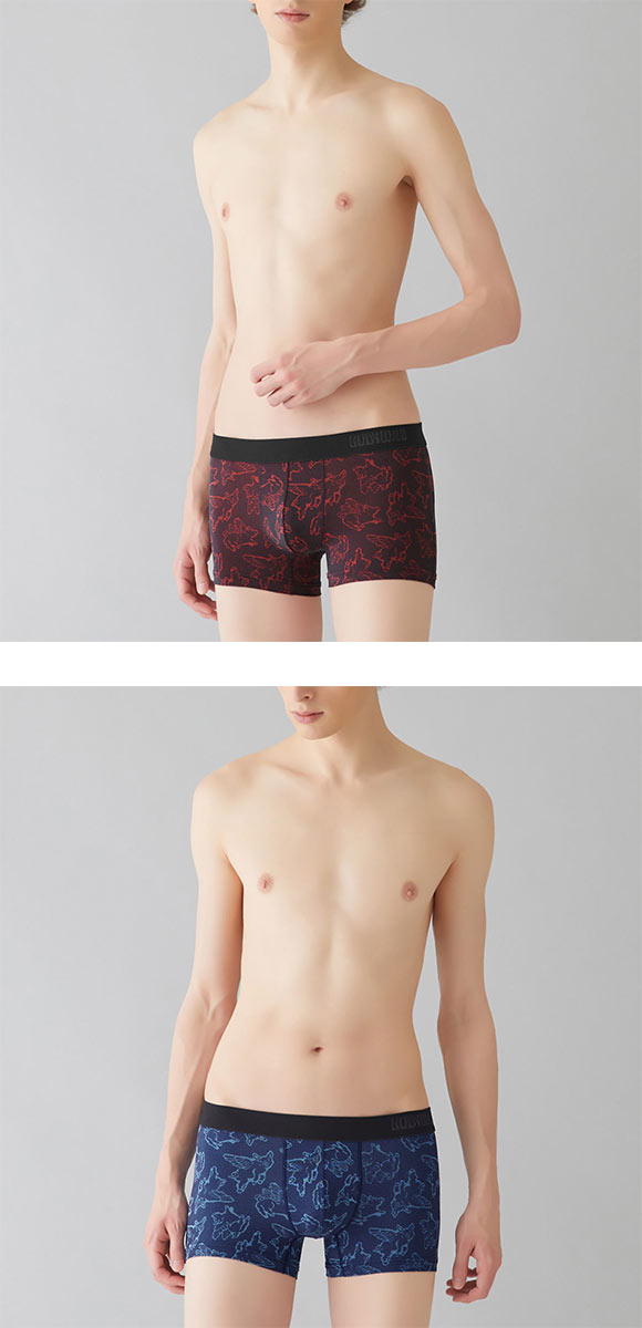 グンゼ GUNZE ボディワイルド BODY WILD ボクサーパンツ メンズ ジャカードパターン 前とじ ピッグスフライ柄