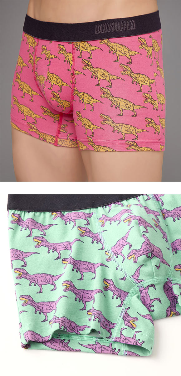 グンゼ BODY WILD T.Rex柄 ボクサーパンツ 前閉じ メンズ 綿混 GUNZE ボディワイルド