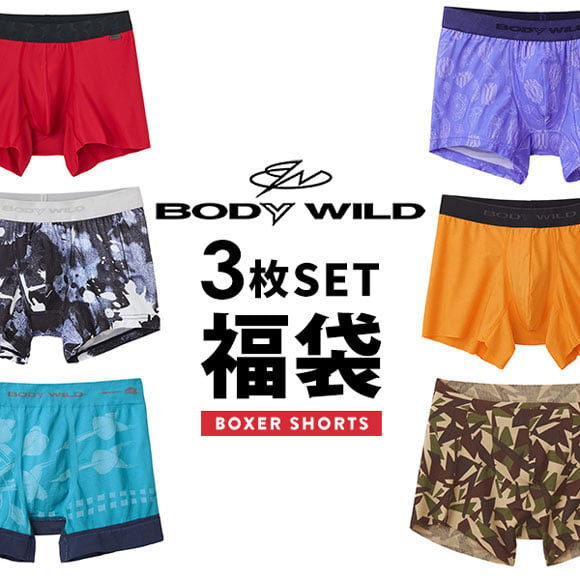 グンゼ GUNZE ボディワイルド BODY WILD ボクサーパンツ お楽しみ福袋