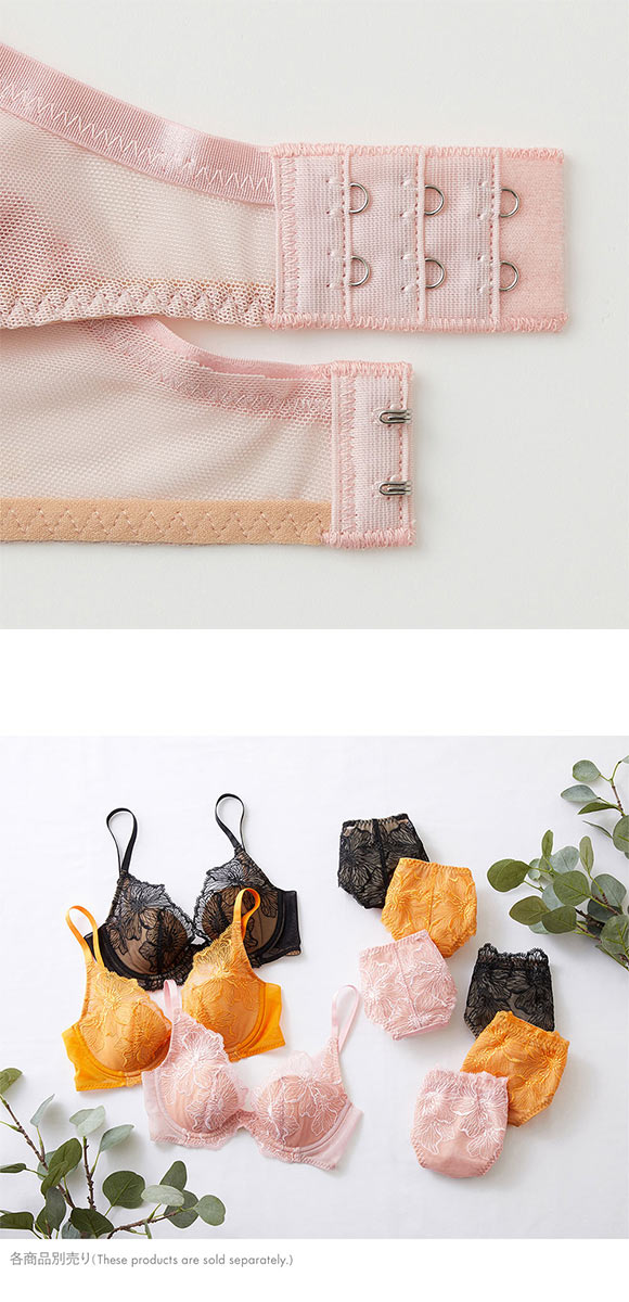 グンゼ GUNZE トゥシェ Tuche more more sheer BRA 盛らない派の透明感ブラ ブラジャー レディース 単品