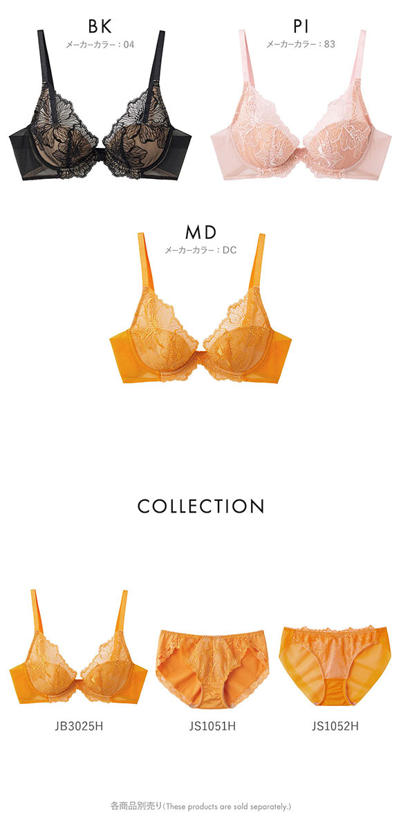 グンゼ GUNZE トゥシェ Tuche more more sheer BRA 盛らない派の透明感ブラ ブラジャー レディース 単品