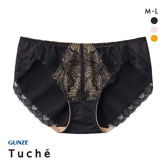 グンゼ GUNZE トゥシェ Tuche more more sheer BRA ペアショーツ レディース 単品
