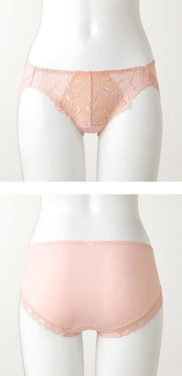 グンゼ GUNZE トゥシェ Tuche more more sheer BRA ペアショーツ レディース 単品