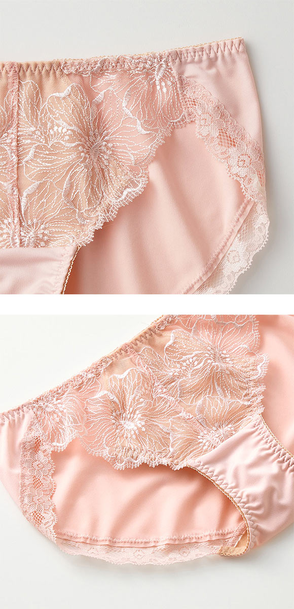 グンゼ GUNZE トゥシェ Tuche more more sheer BRA ペアショーツ レディース 単品