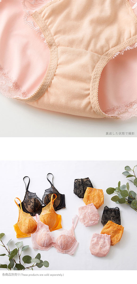 グンゼ GUNZE トゥシェ Tuche more more sheer BRA ペアショーツ レディース 単品