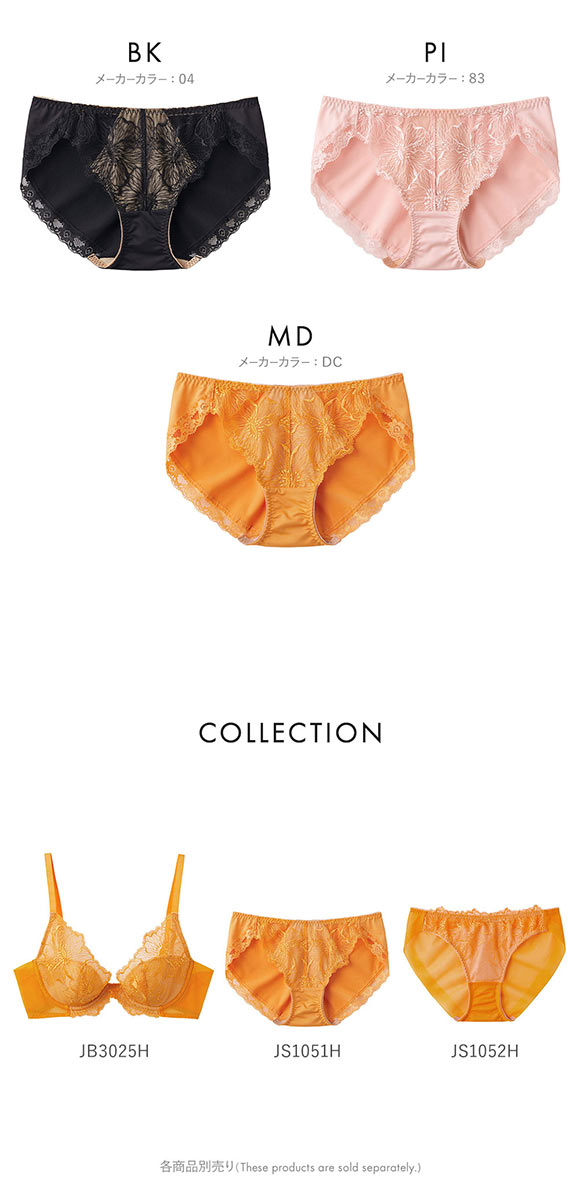 グンゼ GUNZE トゥシェ Tuche more more sheer BRA ペアショーツ レディース 単品