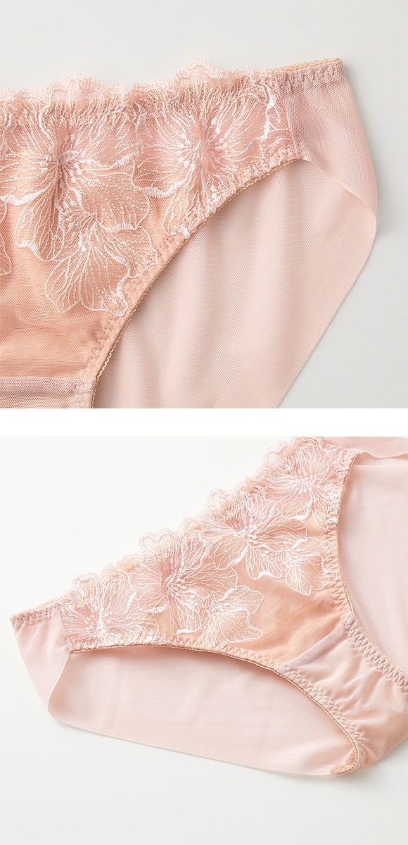 グンゼ GUNZE トゥシェ Tuche more more sheer BRA ペアショーツ レディース ひびきにくい ヘム 単品