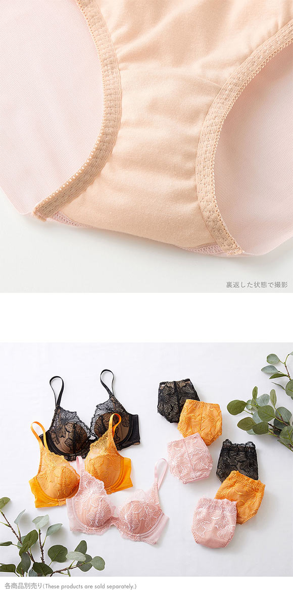 グンゼ GUNZE トゥシェ Tuche more more sheer BRA ペアショーツ レディース ひびきにくい ヘム 単品