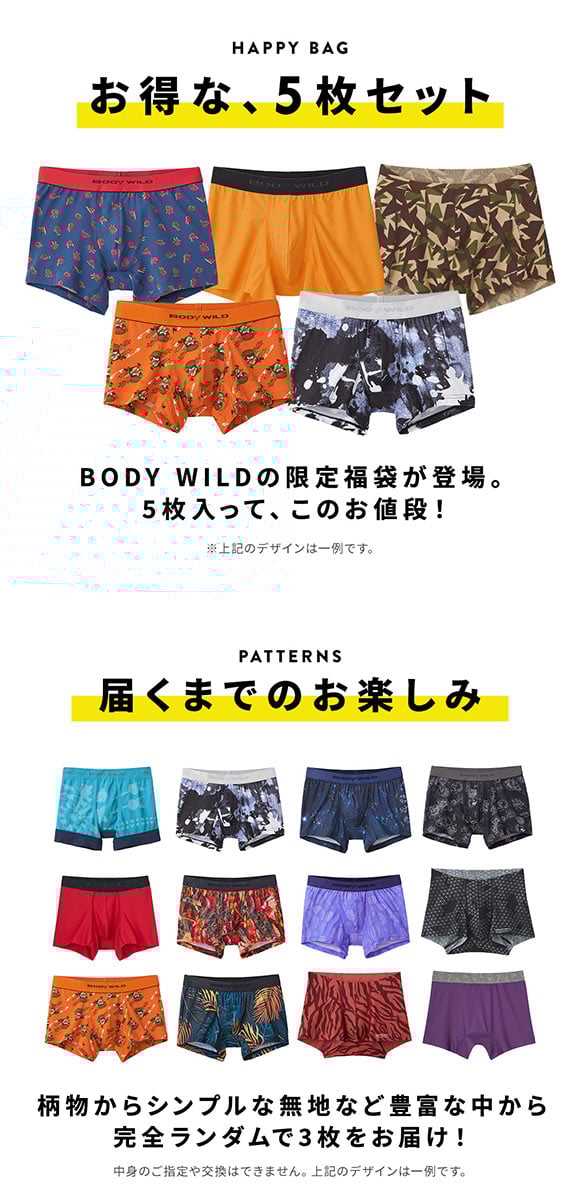 グンゼ BODY WILD ボクサーパンツ お楽しみ福袋 5枚セット メンズ アンダーウェア GUNZE ボディワイルド 大きいサイズ