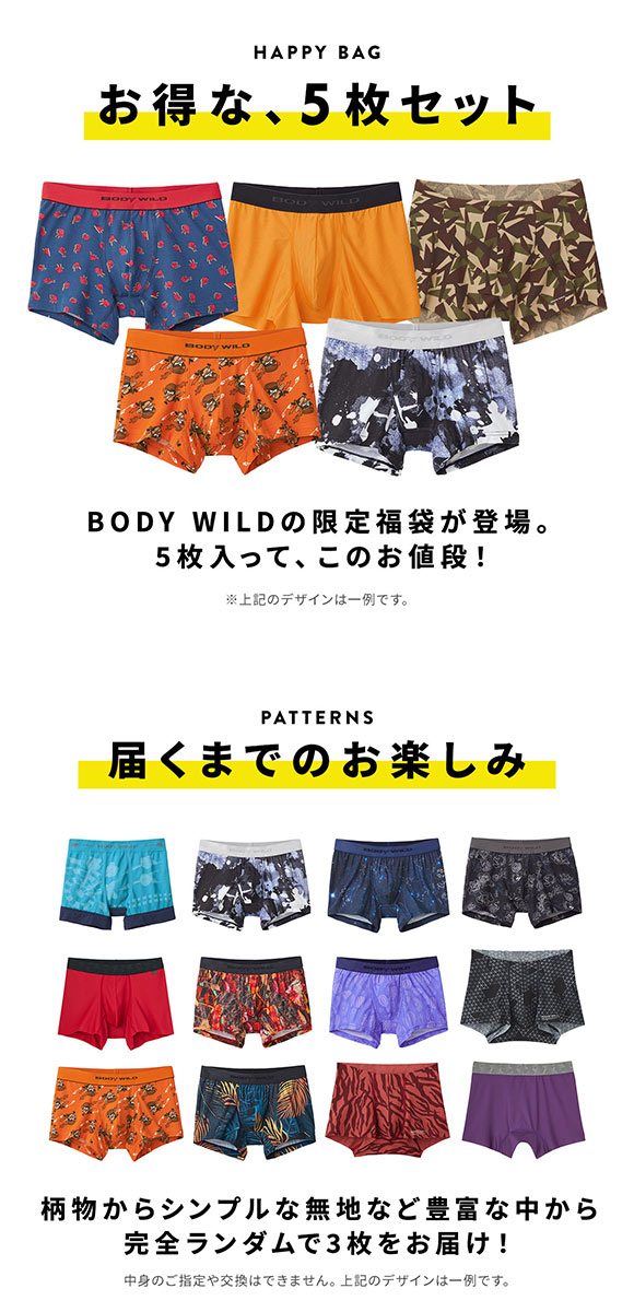 グンゼ BODY WILD ボクサーパンツ お楽しみ福袋 5枚セット メンズ アンダーウェア GUNZE ボディワイルド 大きいサイズ