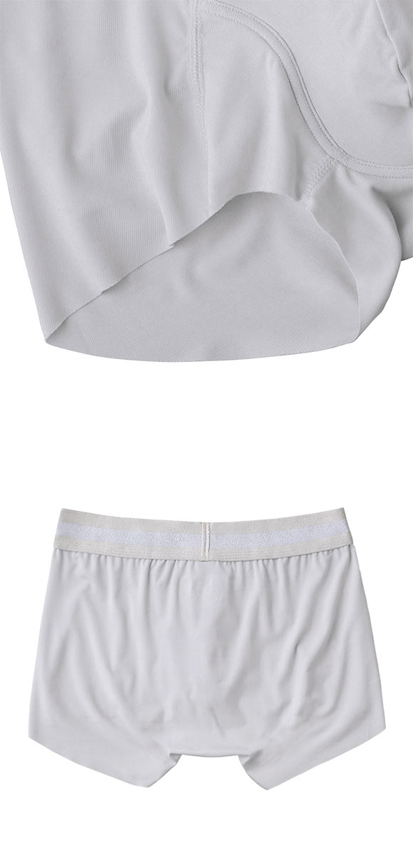 グンゼ GUNZE ネクスタイル NEXTYLE ボクサーブリーフ メンズ 前とじ 尿シミ対応 大きいサイズ