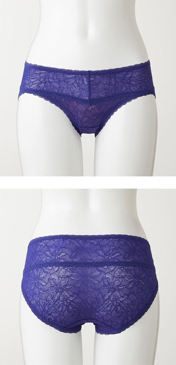 グンゼ GUNZE トゥシェ Tuche more more sheer BRA ペアショーツ スタンダード レギュラー 単品