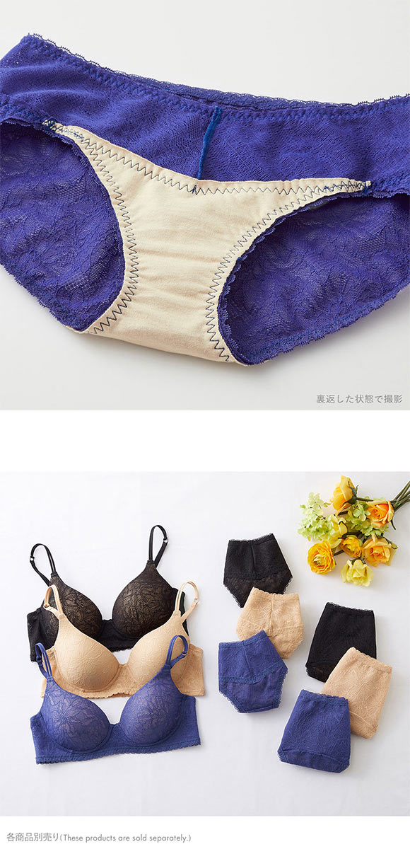 グンゼ GUNZE トゥシェ Tuche more more sheer BRA ペアショーツ スタンダード レギュラー 単品