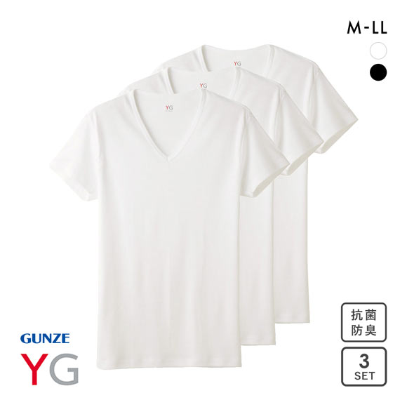 グンゼ GUNZE ワイジー YG コットン100％ Vネック Tシャツ メンズ 定番 ベーシック オールシーズン 三枚組