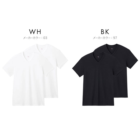 グンゼ YG コットン100％ 天竺 Vネック Tシャツ 2枚セット メンズ インナー 大きいサイズ GUNZE ワイジー