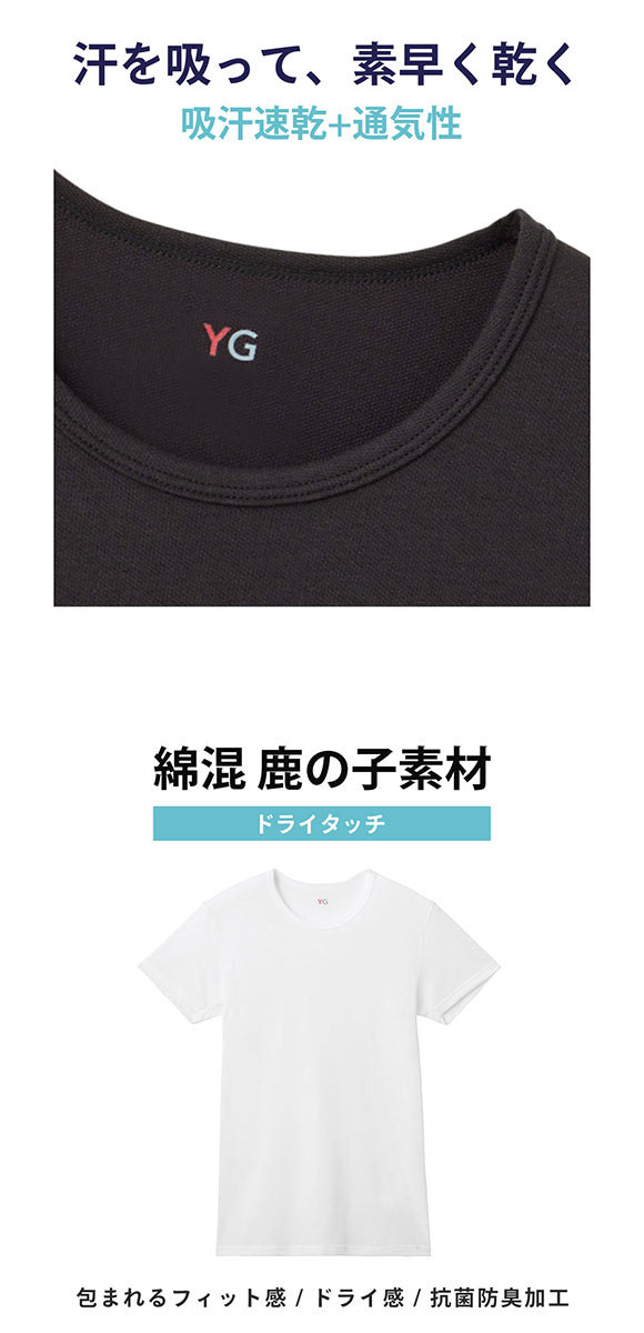 グンゼ YG ドライタッチ 鹿の子 クルーネック Tシャツ 2枚セット メンズ インナー クール 大きいサイズ GUNZE ワイジー
