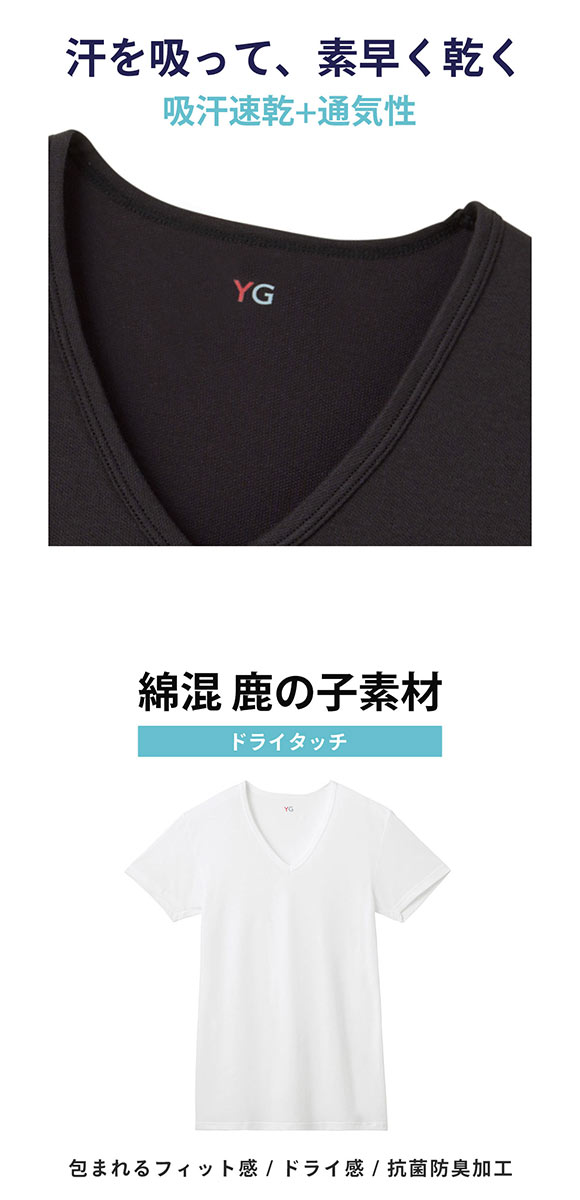 グンゼ YG ドライタッチ 鹿の子 Vネック Tシャツ 2枚セット メンズ インナー クール GUNZE ワイジー
