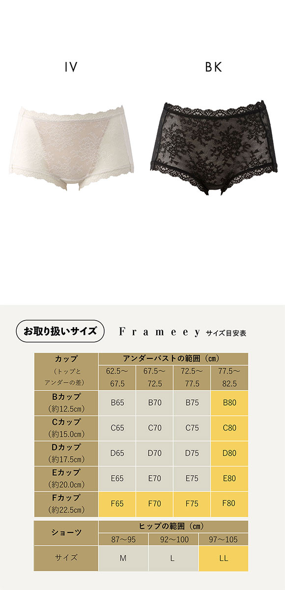 ルシアン Frameey 骨格ブラ ボーイズ ペアショーツ 総レース M L LL LECIEN フレーミー