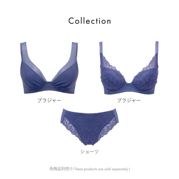 ルシアン LECIEN ショーツ スタンダード 上半身のお悩み解決 ノンワイヤーブラペア ノーマル M L LL 単品