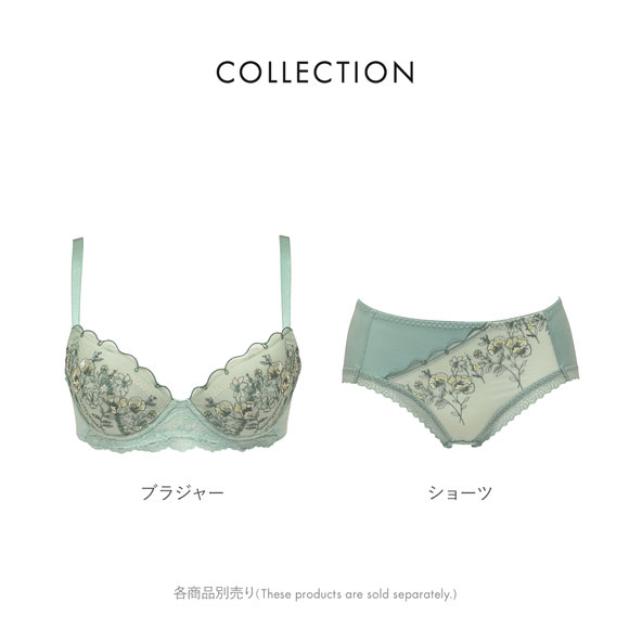 ルシアン ふんわりUPブラ ペアショーツ ショーツ スタンダード M L LL LECIEN