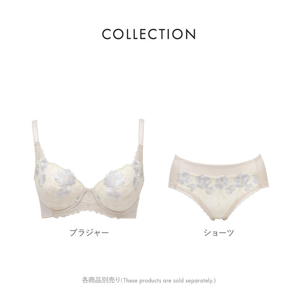 ルシアン キレイ魅せ 脇やせメイクブラ ペアショーツ スタンダード M L LL 大きいサイズ 履きこみ丈深め LECIEN