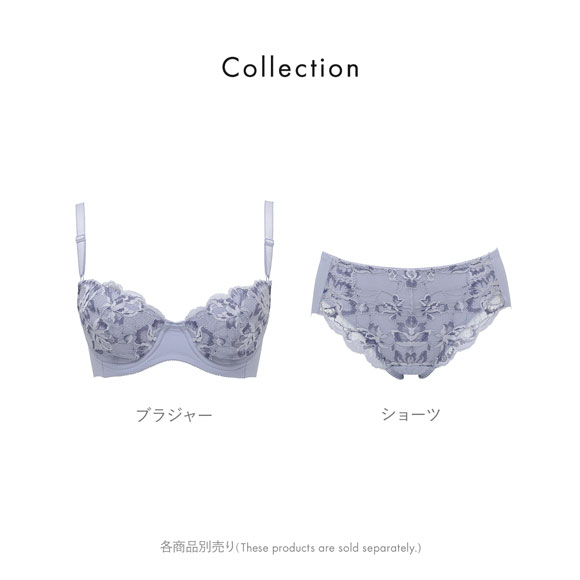 ルシアン LECIEN キレイ魅せ 美背中メイクブラ ショーツ スタンダード M L LL 単品