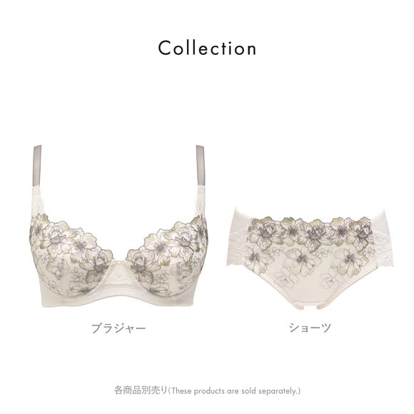ルシアン キレイ魅せ 脇やせメイクブラ ペアショーツ スタンダード M L LL 大きいサイズ 履きこみ丈深め LECIEN 下着