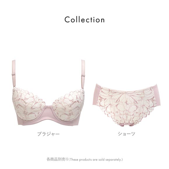 ルシアン キレイ魅せ 美背中メイクブラ ブラジャー 4/5カップ E 大きサイズ 脇肉 脇高 単品 下着 LECIEN