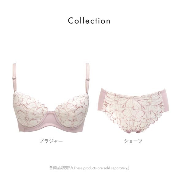 ルシアン キレイ魅せ 美背中メイクブラ ブラジャー 4/5カップ E 大きサイズ 脇肉 脇高 単品 下着 LECIEN