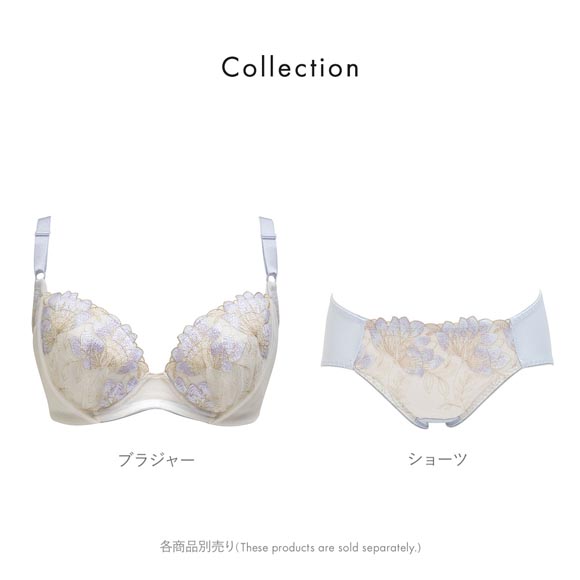 ルシアン 大きめバスト専用 コンパクト設計 ペアショーツ スタンダード M L LL 3L 大きいサイズ 下着 LECIEN