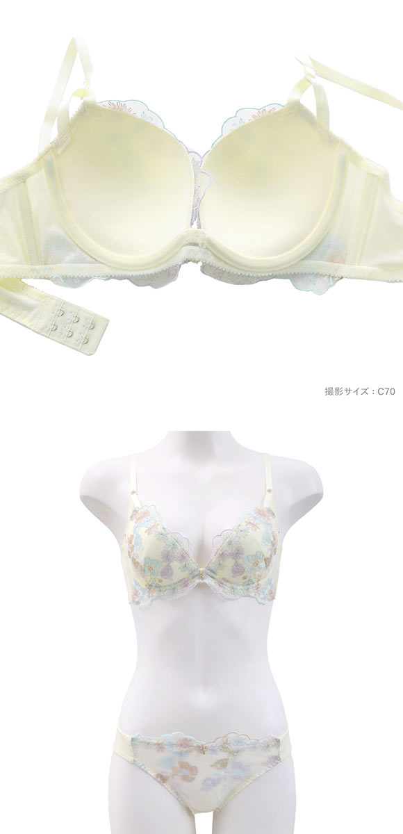 パンキュート チャーミングピオニー ブラセット ABCDEF 大きいサイズ