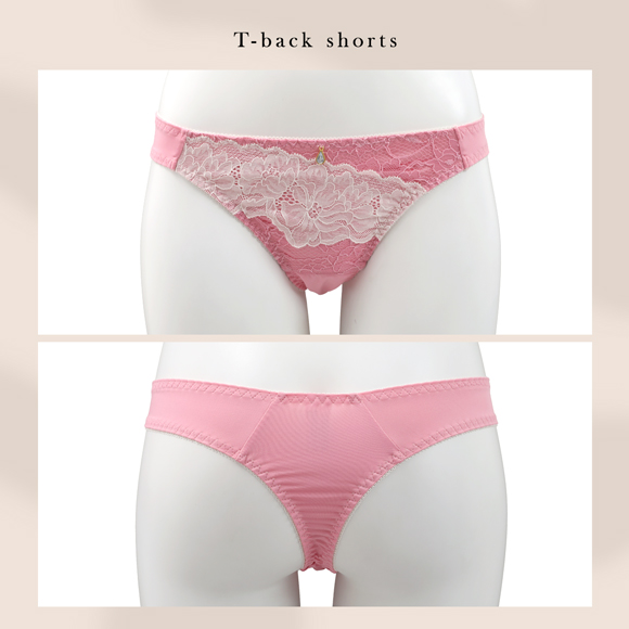 エレガント バイカラーレーシー ブラセット 3点セット Tバック BCDEF80-95 大きいサイズ グラマー 谷間 寄せ ブラジャー ショーツ セット Elegante