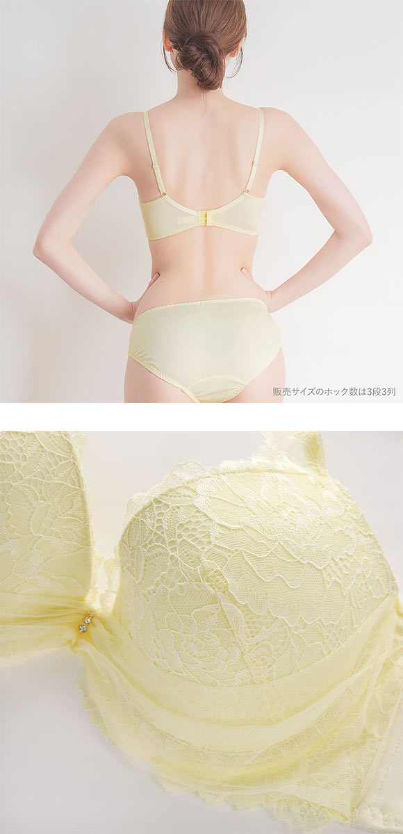 パンキュート レーシーヴェール ブラセット CDEF80-95 大きいサイズ グラマー 脇高 谷間 寄せ 盛り胸 総レース ブラジャー ショーツ