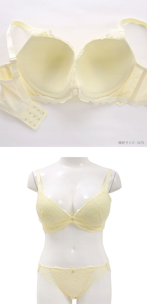 パンキュート レーシーヴェール ブラセット GHI65-95 大きいサイズ グラマー 脇高 谷間 寄せ 盛り胸 総レース ブラジャー ショーツ